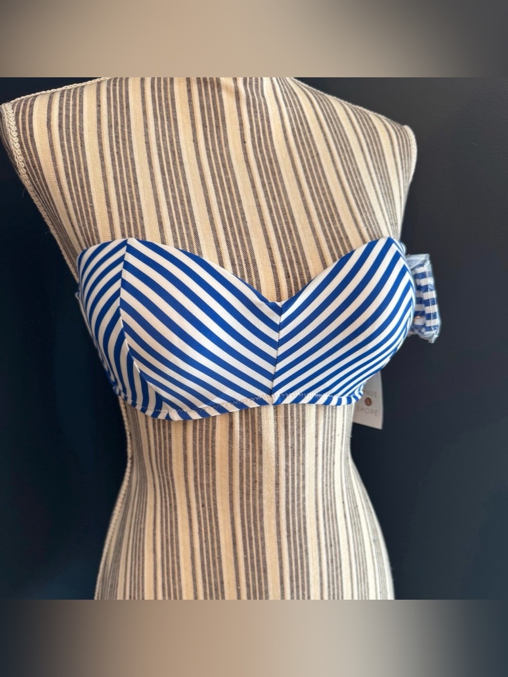 Shade & Shore Blue and White Striped Strapless Bikini Top